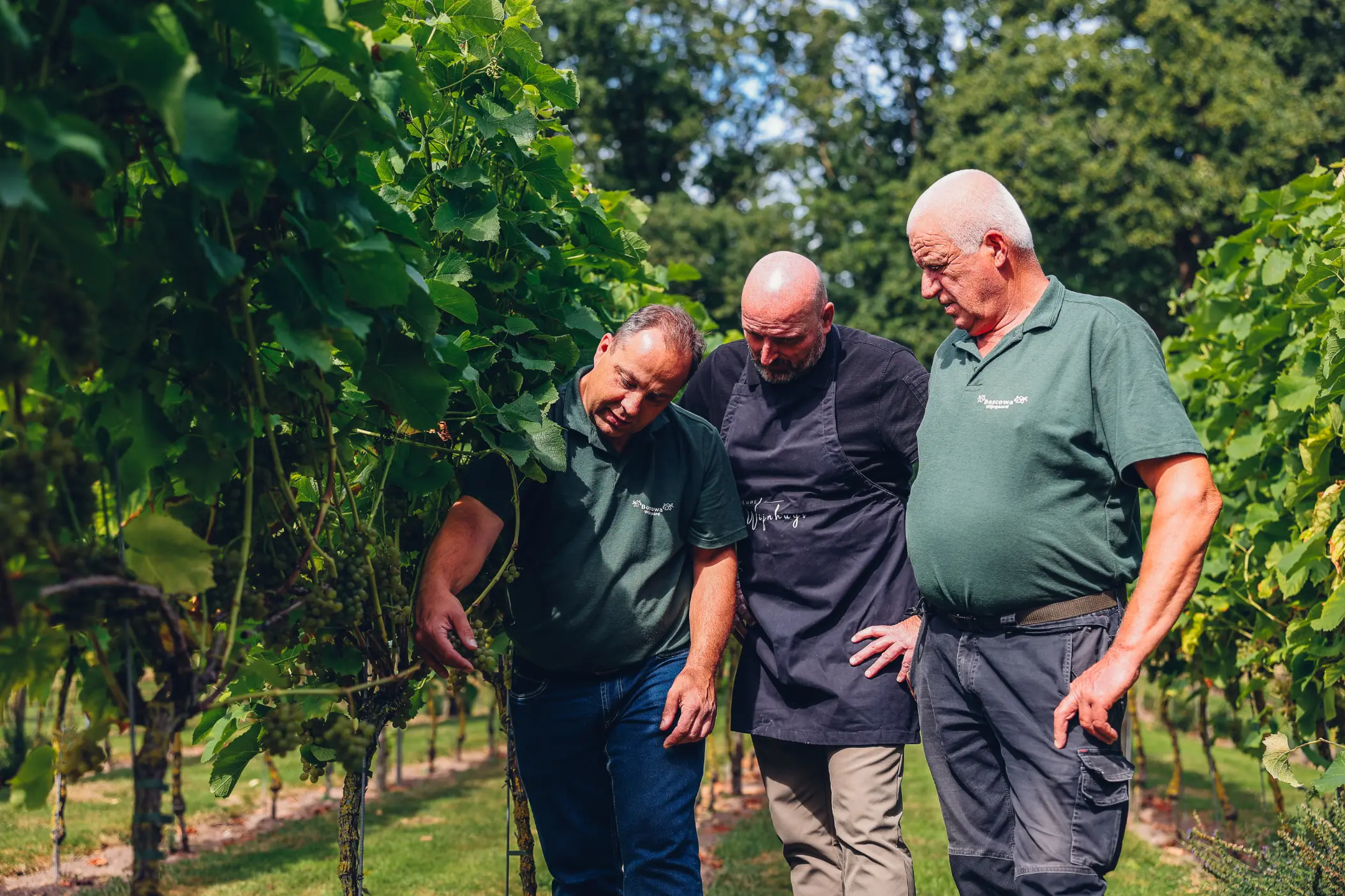 250825_Het Nieuwe Wijnhuys-029